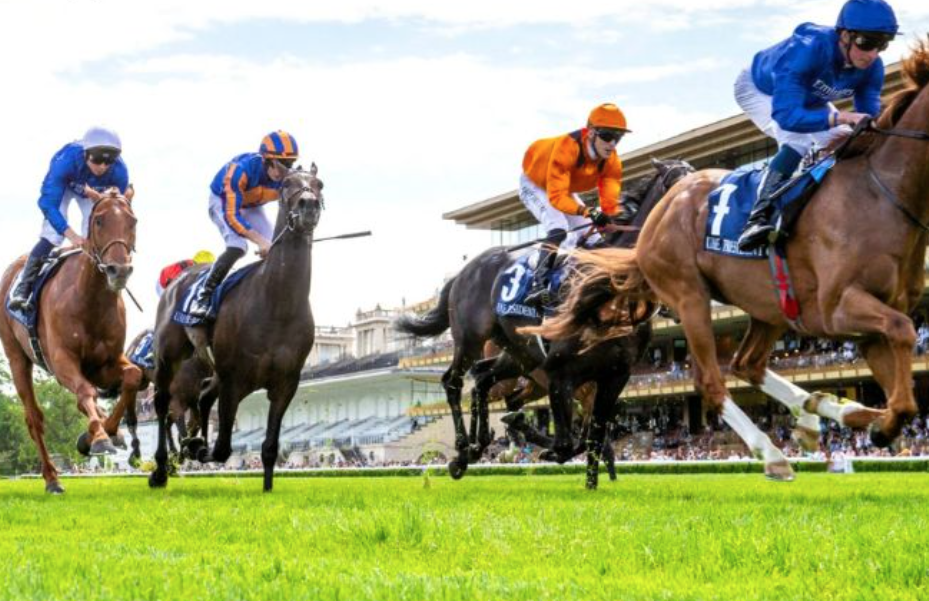 kappacourse || kappa course || kappa turf